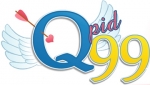 Qpid99 logo